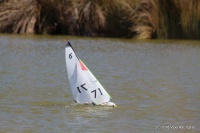 105-IMG_8245.JPG
