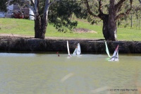 142-IMG_8282.JPG