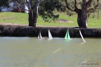 144-IMG_8284.JPG