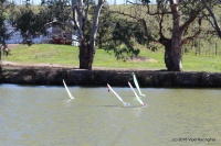 154-IMG_8294.JPG