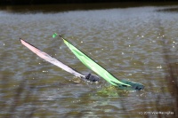 163-IMG_8303.JPG