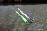 164-IMG_8304.JPG