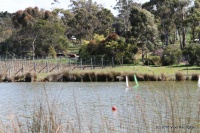 197-IMG_8337.JPG