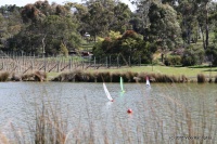 198-IMG_8338.JPG
