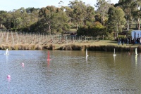 11-IMG_8133.JPG