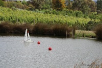 08-IMG_8741.JPG