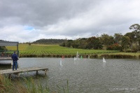 12-IMG_8748.JPG