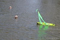 36-IMG_8784.JPG