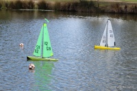 41-IMG_8797.JPG