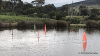 71E09D05-0013-4825-AA6F-7AD970D68C03.jpeg