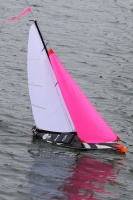 IMG_7649.jpg