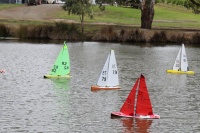 IMG_8733.jpg