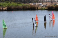 IMG_9127.JPG