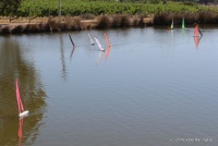 IMG_9136.JPG