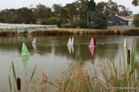 IMG_9292.JPG