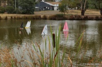 IMG_9295.JPG