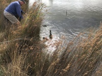 IMG_0883.jpeg