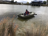 IMG_0884.jpeg