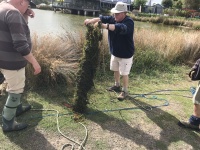 IMG_0890.jpeg