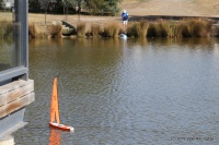 IMG_9339.JPG