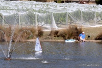 IMG_9345.JPG